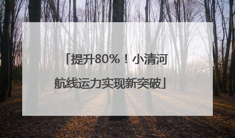提升80％！小清河航线运力实现新突破