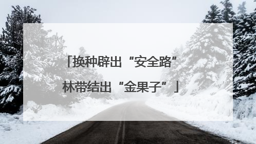 换种辟出“安全路” 林带结出“金果子”