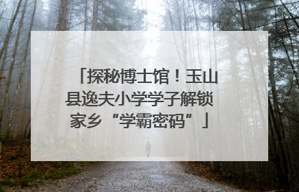 探秘博士馆！玉山县逸夫小学学子解锁家乡“学霸密码”