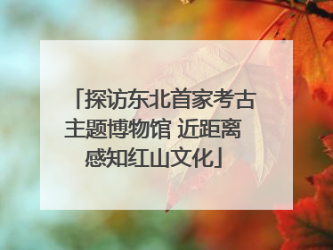 探访东北首家考古主题博物馆 近距离感知红山文化