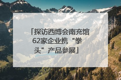探访西博会南充馆 62家企业携“拳头”产品参展
