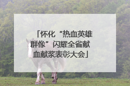 怀化“热血英雄群像”闪耀全省献血献浆表彰大会