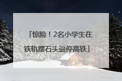 惊险！2名小学生在铁轨摆石头逼停高铁