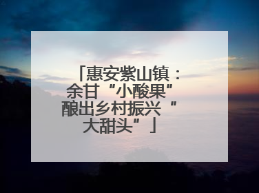 惠安紫山镇：余甘“小酸果”酿出乡村振兴“大甜头”