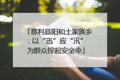 慈利县阳和土家族乡：以“迅”应“汛” 为群众撑起安全伞