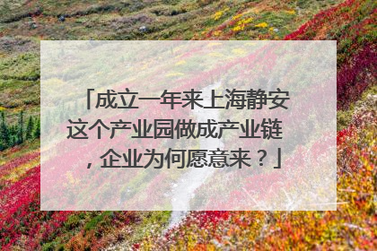 成立一年来上海静安这个产业园做成产业链，企业为何愿意来？