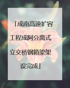 成南高速扩容工程成阿分离式立交桥钢箱梁架设完成