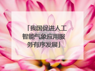 我国促进人工智能气象应用服务有序发展