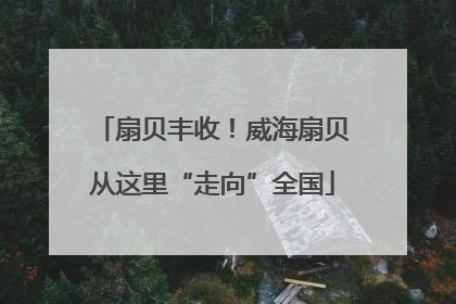 扇贝丰收！威海扇贝从这里“走向”全国