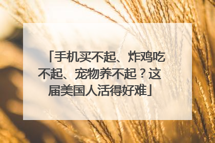 手机买不起、炸鸡吃不起、宠物养不起？这届美国人活得好难