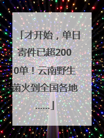 才开始，单日寄件已超2000单！云南野生菌火到全国各地……