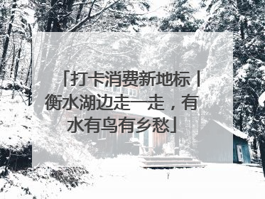 打卡消费新地标丨衡水湖边走一走，有水有鸟有乡愁