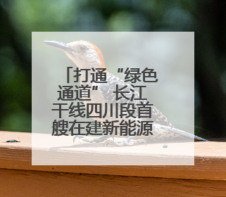 打通“绿色通道” 长江干线四川段首艘在建新能源船舶抵押贷款在泸州落地
