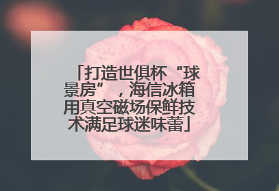 打造世俱杯“球景房”，海信冰箱用真空磁场保鲜技术满足球迷味蕾