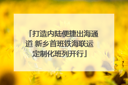 打造内陆便捷出海通道 新乡首班铁海联运定制化班列开行