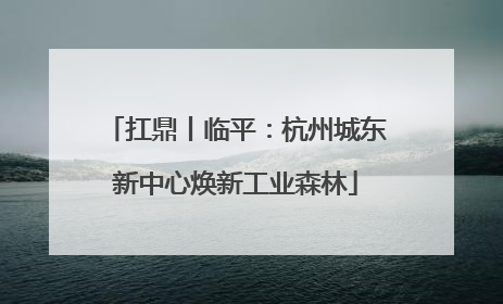 扛鼎丨临平：杭州城东新中心焕新工业森林