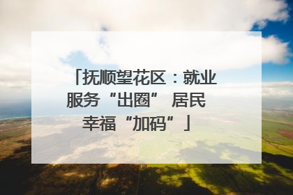 抚顺望花区：就业服务“出圈” 居民幸福“加码”