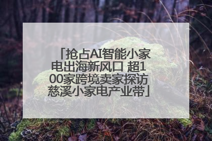 抢占AI智能小家电出海新风口 超100家跨境卖家探访慈溪小家电产业带