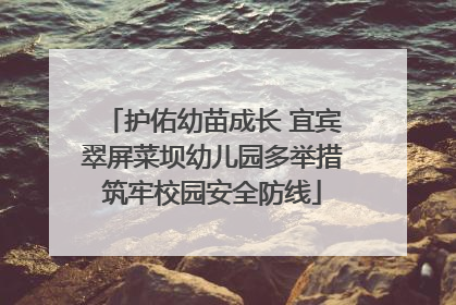 护佑幼苗成长 宜宾翠屏菜坝幼儿园多举措筑牢校园安全防线