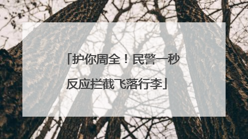 护你周全！民警一秒反应拦截飞落行李