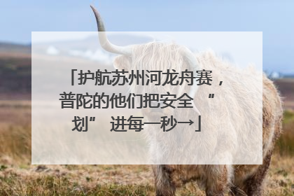 护航苏州河龙舟赛，普陀的他们把安全 “划” 进每一秒→