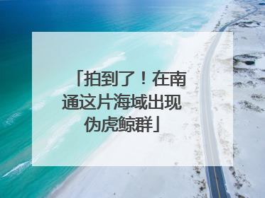 拍到了！在南通这片海域出现伪虎鲸群