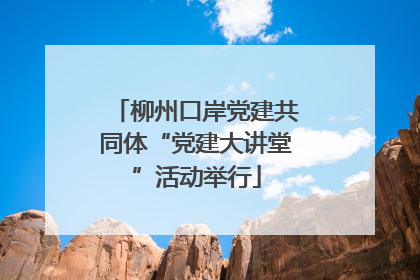 柳州口岸党建共同体“党建大讲堂”活动举行