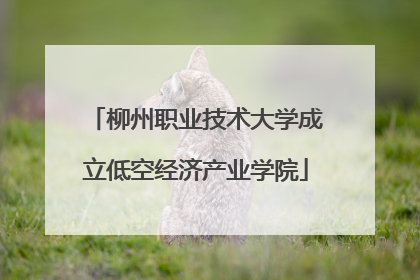 柳州职业技术大学成立低空经济产业学院