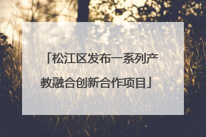 松江区发布一系列产教融合创新合作项目