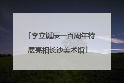 李立诞辰一百周年特展亮相长沙美术馆
