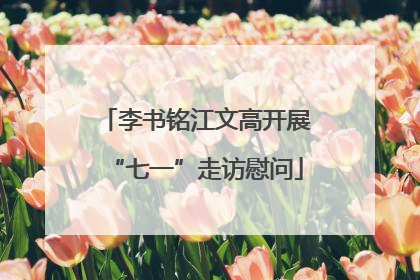 李书铭江文高开展“七一”走访慰问