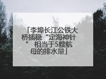 李埠长江公铁大桥插稳“定海神针” 相当于5艘航母的排水量