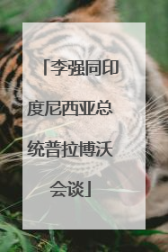 李强同印度尼西亚总统普拉博沃会谈