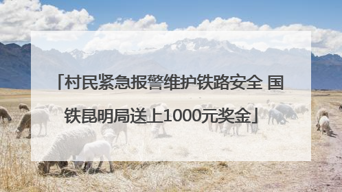 村民紧急报警维护铁路安全 国铁昆明局送上1000元奖金