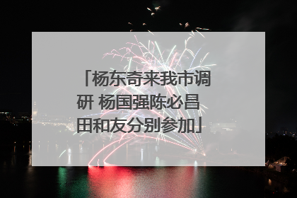 杨东奇来我市调研 杨国强陈必昌田和友分别参加
