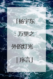 杨宇东：万里之外的灯光｜序言