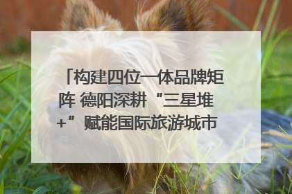 构建四位一体品牌矩阵 德阳深耕“三星堆+”赋能国际旅游城市建设｜文旅局长说