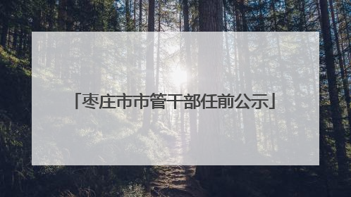 枣庄市市管干部任前公示