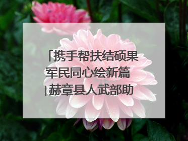 携手帮扶结硕果 军民同心绘新篇∣赫章县人武部助力大凉山村阔步乡村振兴路