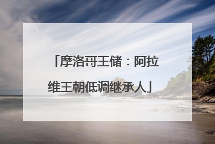摩洛哥王储：阿拉维王朝低调继承人