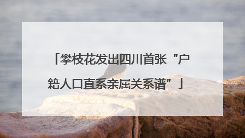 攀枝花发出四川首张“户籍人口直系亲属关系谱”