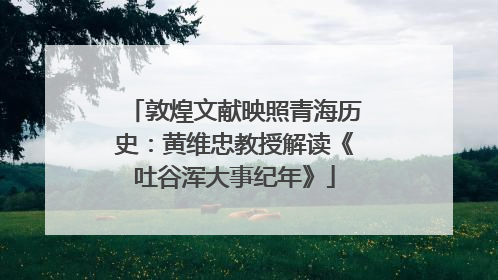 敦煌文献映照青海历史：黄维忠教授解读《吐谷浑大事纪年》