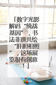 数字光影解码“统战基因”，书法非遗共绘“肝胆相照”，这场展览很有创意！