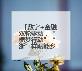 数字+金融双轮驱动，“栀梦行动”“浙”样赋能乡村振兴
