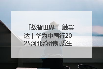 数智世界 一触冀达｜华为中国行2025河北沧州新质生产力峰会成功举办