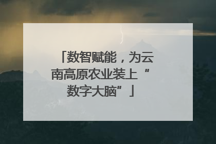 数智赋能，为云南高原农业装上“数字大脑”