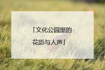 文化公园里的花影与人声