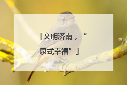 文明济南，“泉式幸福”