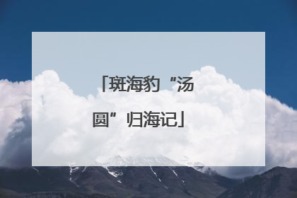 斑海豹“汤圆”归海记