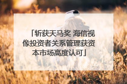 斩获天马奖 海信视像投资者关系管理获资本市场高度认可
